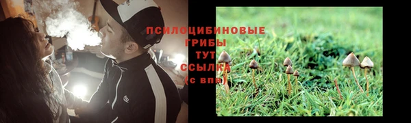 каннабис Богородицк