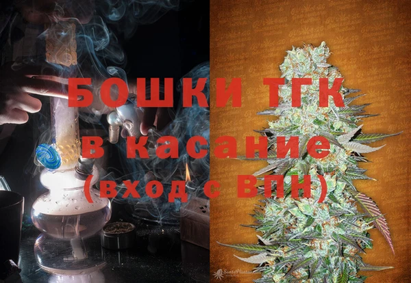 сатива Осташков