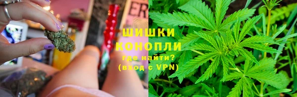 трава Богданович